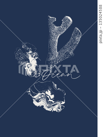 Vector tropical underwater style poster of seashells and corals collection Isolated on dark blue background. Card for interior design, prints, fabric or background. 135024588