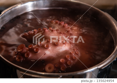 Boiled octopus cooking in stainless steel pot 135024954