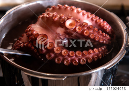 Boiled octopus cooking in stainless steel pot Boiled octopus cooking in stainless steel pot 135024958