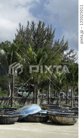 Traditional Vietnamese basket boats on tropical beach with palm trees Traditional Vietnamese basket boats on tropical beach with palm trees 135025011