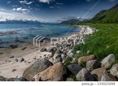 Coastal Landscape With White Sand Beach And Snowy Mountains At Fjord On Lofoten In Norway 135025099