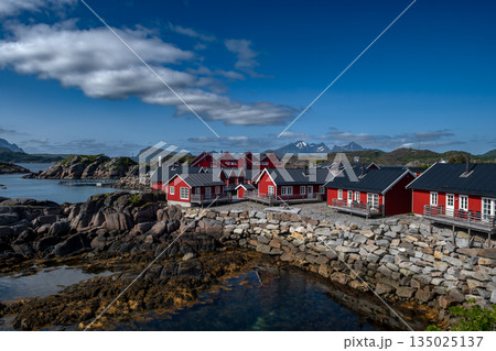 Picturesque Red Rorbuer Huts At The Coast On Lofoten Islands In Norway Picturesque Red Rorbuer Huts At The Coast On Lofoten Islands In Norway 135025137