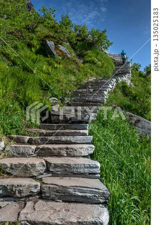 Woman Hiking On Steep Sherpy Stairs On Reinebringen Trail On Lofoten Islands In Norway 135025183