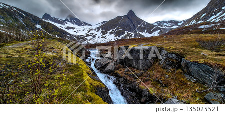 Wild River With Waterfall From Snowy Mountains On Senja Island In Norway 135025521