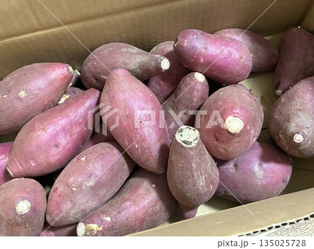 ダンボール箱に入った収穫したての新鮮なサツマイモ ダンボール箱に入った収穫したての新鮮なサツマイモ 135025728