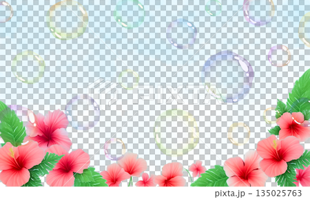 芙蓉花背景，飛舞的肥皂泡 135025763