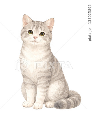 水彩風の猫 全身イラスト 水彩風の猫 全身イラスト 135025896