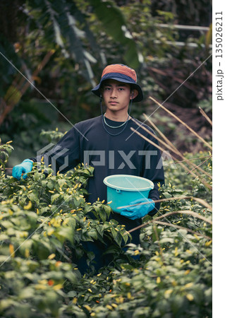 農業する若者イメージ 135026211
