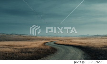 嵐の空の下に続く孤独な道の風景 135026558