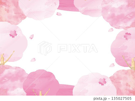 桜の満開フレーム。水彩の柔らかな桜の花とコピースペースのある春の背景素材 135027505