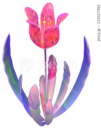 チューリップ 135027862