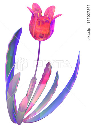 チューリップ 135027863