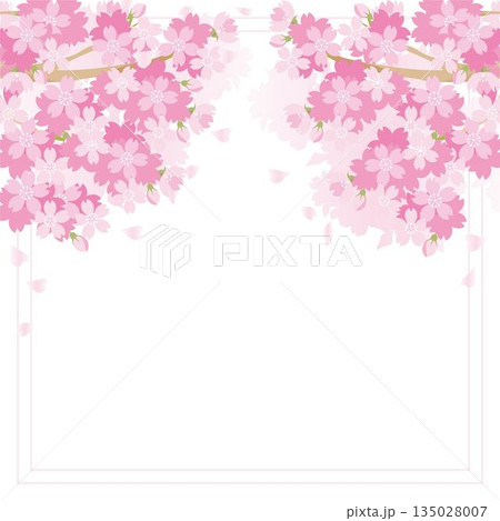 桜の満開フレーム背景。卒業・入学・お花見のお祝いに使える春の和風ベクター素材 桜の満開フレーム背景。卒業・入学・お花見のお祝いに使える春の和風ベクター素材 135028007