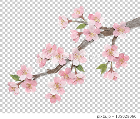 Paper cut-out style illustration of cherry blossoms and branches made with Japanese paper 135028060