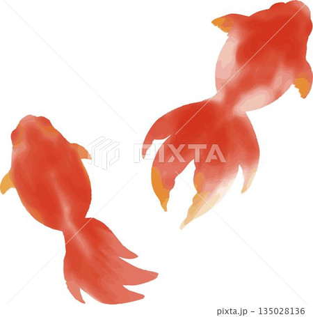 金魚のイラストセット。水彩の赤い金魚が泳ぐ和風の夏素材 135028136