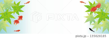 金魚と青紅葉の和風バナー。水彩風の涼しげな夏の背景素材とコピースペース 135028185