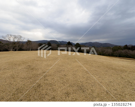 真冬の奈良公園飛火野園地 135028274