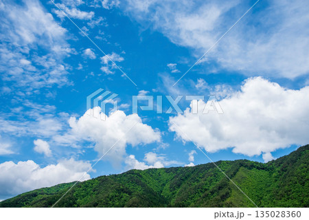 夏の里山風景《岐阜県 高山市 清見町》 135028360