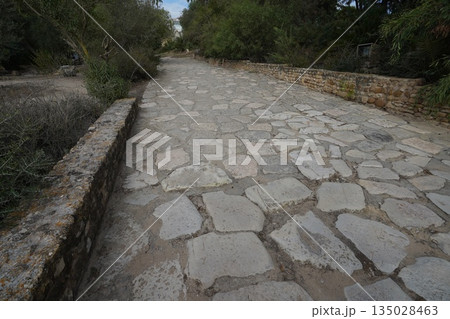 カルタゴ遺跡 カルタゴ遺跡 135028463