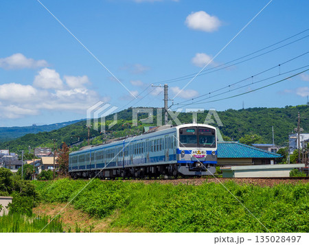 伊豆箱根鉄道1300系 135028497