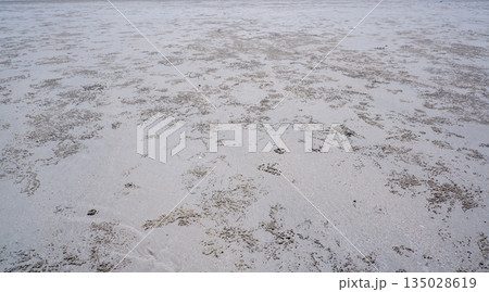 Close Up Texture of Wet Sand with Small Crab Holes on Tropical Beach Close Up Texture of Wet Sand with Small Crab Holes on Tropical Beach 135028619