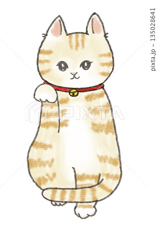 かわいい招き猫 135028641