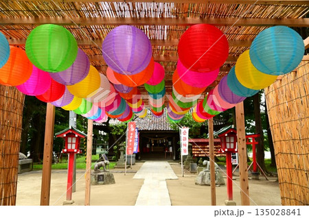 ユニークな顔の狛犬がいる盛岡天満宮の提灯飾り 135028841