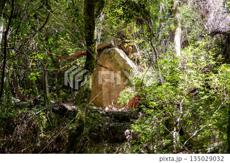 夕方の柔らかい光を受ける夕日観音 135029032