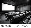 新しい物語を待つ、暗い映画館の中の真っ白なスクリーン） 135029226