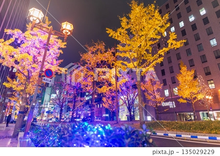御堂筋のイルミネーション 御堂筋のイルミネーション 135029229