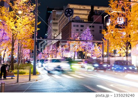 御堂筋のイルミネーション 135029240