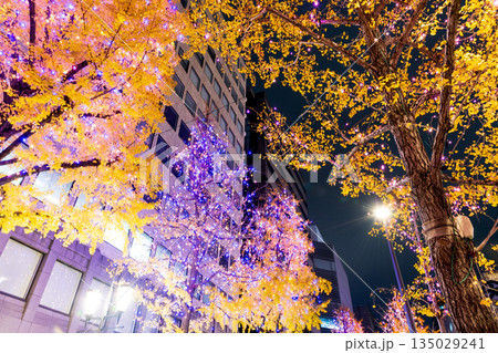 御堂筋のイルミネーション 135029241