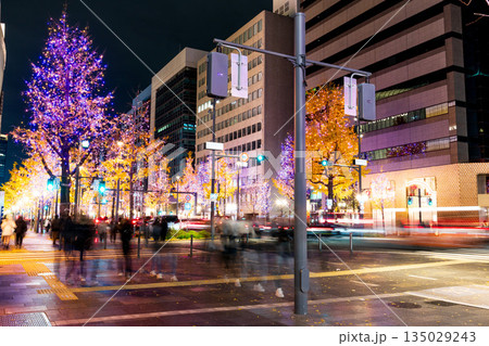 御堂筋のイルミネーション 御堂筋のイルミネーション 135029243