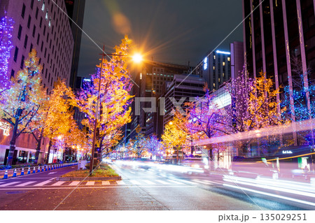 御堂筋のイルミネーション 御堂筋のイルミネーション 135029251