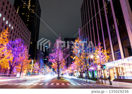 御堂筋のイルミネーション 御堂筋のイルミネーション 135029256