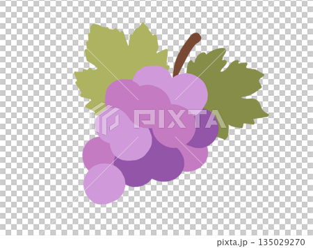 Cute grape illustration Cute grape illustration 135029270