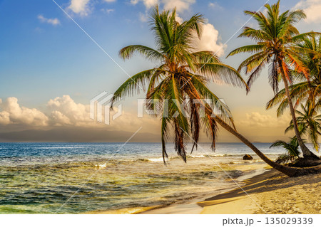 Beautiful San Blas Island at politically autonomous Guna territory in Panama. 135029339