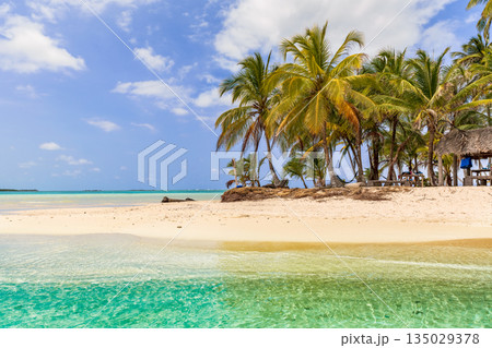 Beautiful San Blas Island at politically autonomous Guna territory in Panama. 135029378