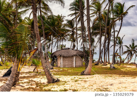 Caribbean island with native huts in San Blas island at politically autonomous Guna territory in Panama. Caribbean island with native huts in San Blas island at politically autonomous Guna territory in Panama. 135029379