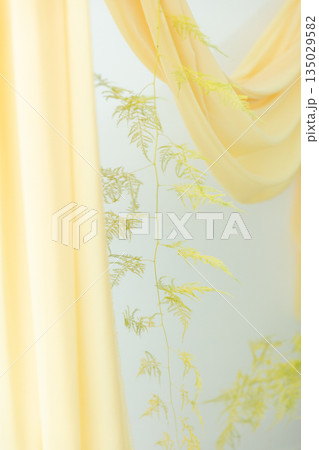 黄色いカーテン 135029582
