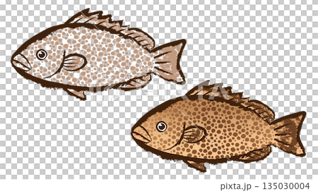 Giant monkey grouper 135030004