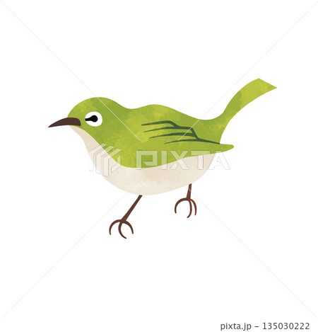 水彩テクスチャ付きのメジロ 春の野鳥 水彩テクスチャ付きのメジロ 春の野鳥 135030222