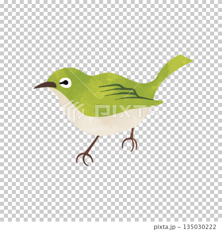 水彩テクスチャ付きのメジロ 春の野鳥 水彩テクスチャ付きのメジロ 春の野鳥 135030222