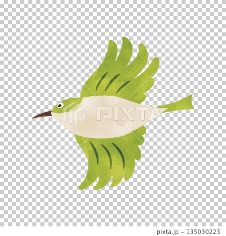 Flying Japanese White-eye with watercolor texture Spring wild bird 135030223