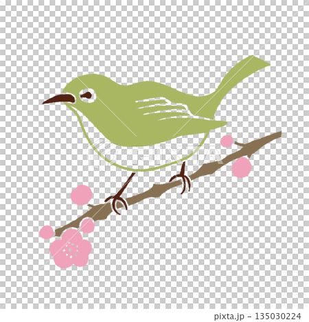 剪紙風格的梅枝和繡眼鳥,春季野生鳥類 剪紙風格的梅枝和繡眼鳥,春季野生鳥類 135030224