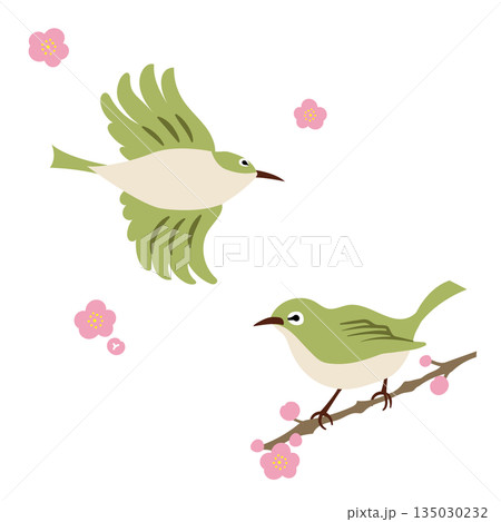 水彩風テクスチャ　メジロと梅の花のセット　春の野鳥 135030232