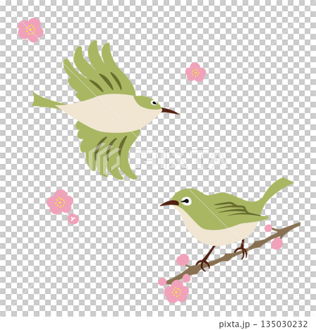 水彩風テクスチャ　メジロと梅の花のセット　春の野鳥 135030232