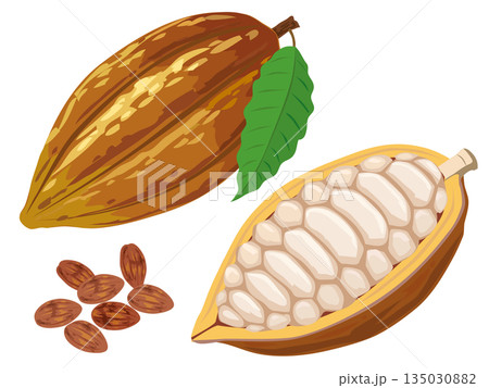 カカオ カカオ 135030882