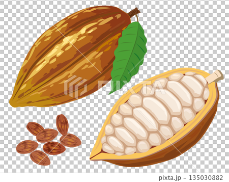 カカオ カカオ 135030882