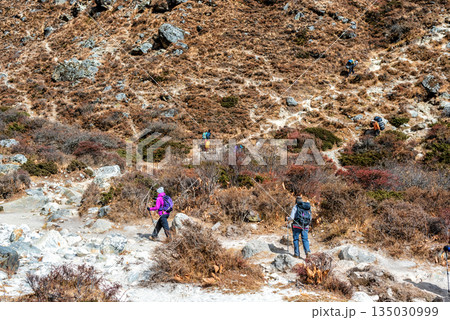 rekkers on the trail to Everest Base Camp in Nepal. 135030999